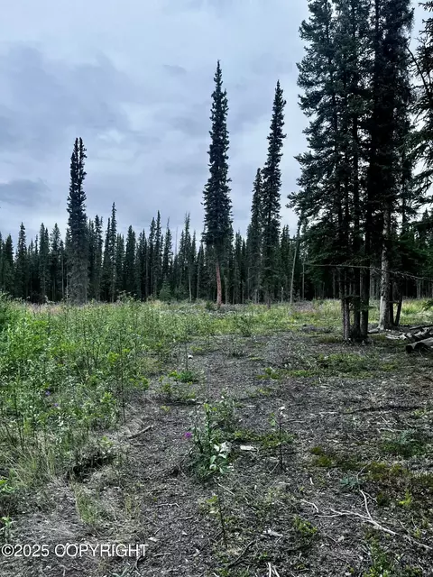 L13 Borealis Avenue, Tok, AK 99780