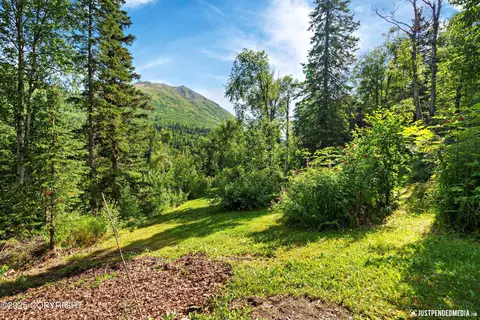 Exterior - 5515 Wild Mountain Dr, Eagle River, AK 99577 photo 17 of 24
