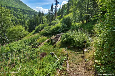 Other - 5515 Wild Mountain Dr, Eagle River, AK 99577 photo 21 of 33