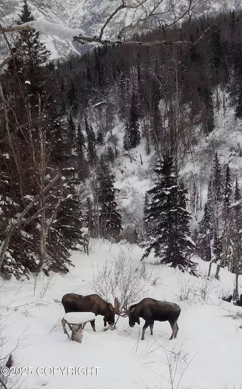 Other - 5515 Wild Mountain Dr, Eagle River, AK 99577 photo 33 of 33