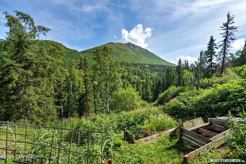 Other - 5515 Wild Mountain Dr, Eagle River, AK 99577 photo 24 of 33