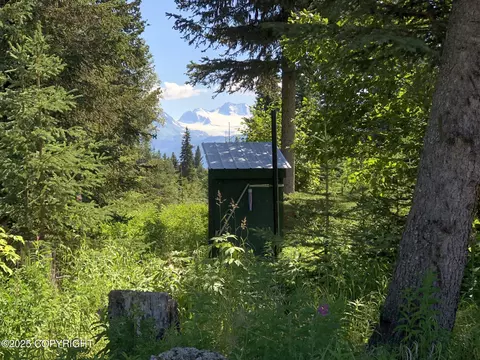 Other - 48526 Morrison Dr, Homer, AK 99603 photo 23 of 25