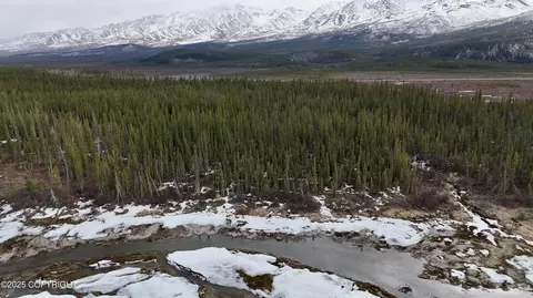 1327 6 B1 Alaska Hwy, Tok, AK 99780