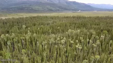 1327 6 B3 Alaska Hwy, Tok, AK 99780