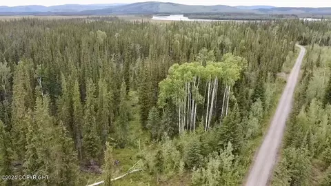 1327 6 B4 Alaska Hwy, Tok, AK 99780