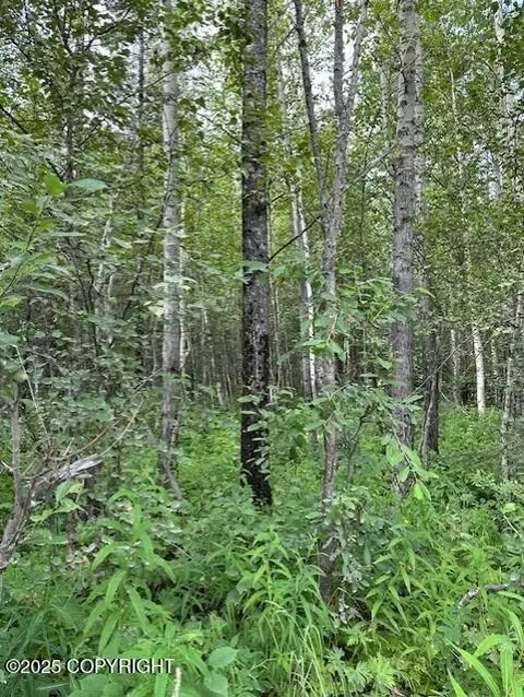 3674 N Grey Wolf Dr, Wasilla, AK 99654