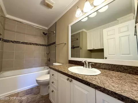 Bath - 18872 Mountain Point Dr, Eagle River, AK 99577 photo 3 of 4
