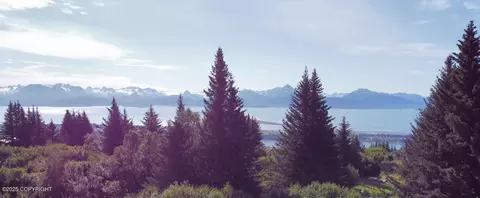 560 Fireweed Ave, Homer, AK 99603