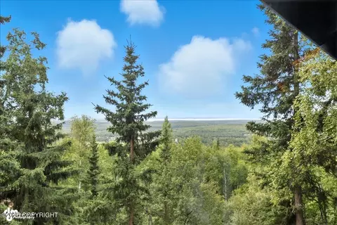View/Area - 12117 Lugene Ln, Eagle River, AK 99577 photo 2 of 6