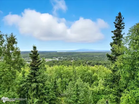 View/Area - 12117 Lugene Ln, Eagle River, AK 99577 photo 1 of 6