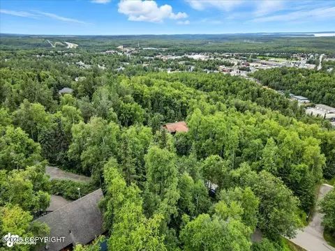View/Area - 12117 Lugene Ln, Eagle River, AK 99577 photo 4 of 6