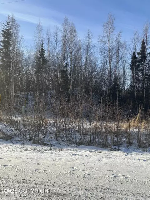 B3 L1 S Preston Hills Drive, Wasilla, AK 99654