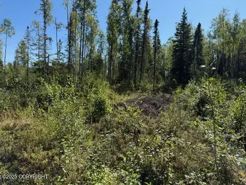 462 N Forest Dr, Wasilla, AK 99623 photo 5