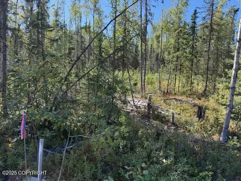 462 N Forest Dr, Wasilla, AK 99623 photo 6
