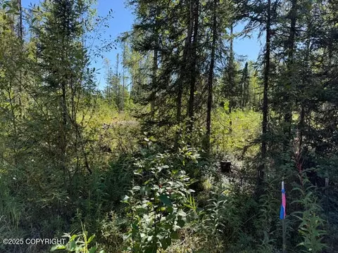 462 N Forest Dr, Wasilla, AK 99623 photo 7