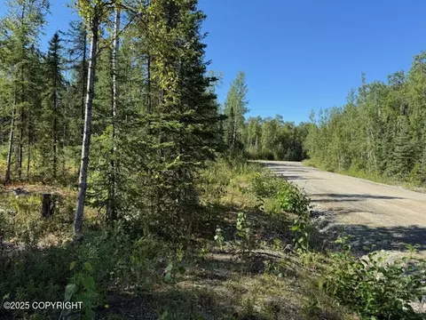462 N Forest Dr, Wasilla, AK 99623 photo 9