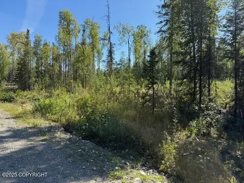 462 N Forest Dr, Wasilla, AK 99623 photo 8