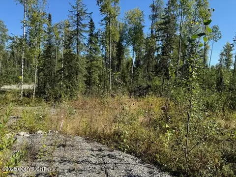 462 N Forest Dr, Wasilla, AK 99623 photo 4