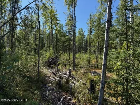 462 N Forest Dr, Wasilla, AK 99623 photo 10