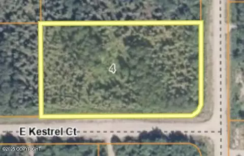 15049 E Kestrel Ct, Willow, AK 99688