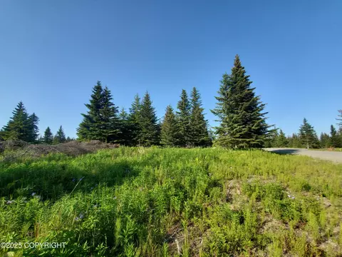 17455 Chefornak St, Ninilchik, AK 99639 photo 3