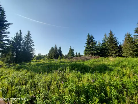 17455 Chefornak St, Ninilchik, AK 99639 photo 2