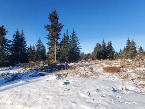 17455 Chefornak St, Ninilchik, AK 99639 photo 4
