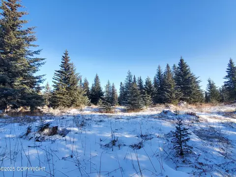 17455 Chefornak St, Ninilchik, AK 99639 photo 5