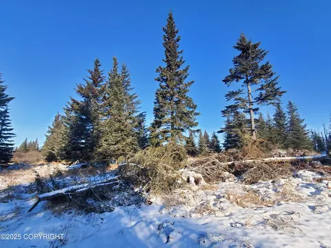 17455 Chefornak St, Ninilchik, AK 99639 photo 8