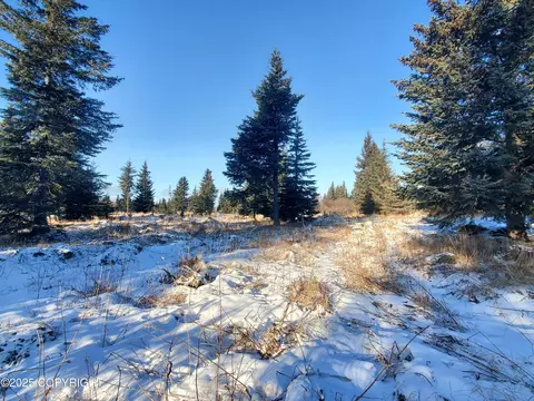 17455 Chefornak St, Ninilchik, AK 99639 photo 9