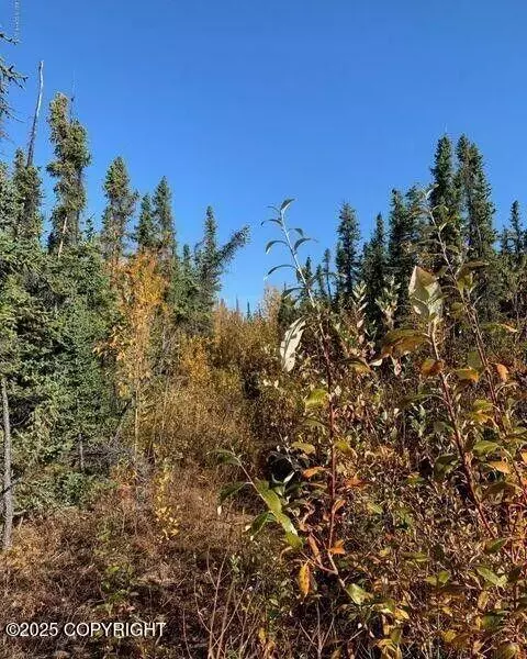 Mile 188.2 Glenn Highway, Glennallen, AK 99588