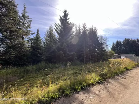 000 Lake St, Homer, AK 99603