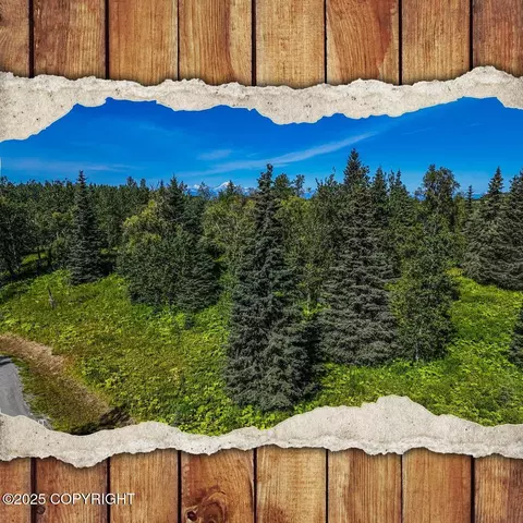 15422 Tovarish Rd, Ninilchik, AK 99639