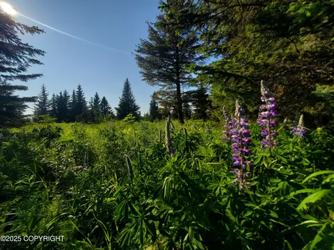 17509 Chefornak St, Ninilchik, AK 99639