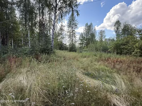 19034 W Willow Cir, Willow, AK 99688 photo 10