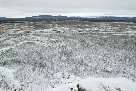 15 Lightning Ave, Clear, AK 99704