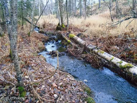 lot102 NW Loc Sault Ave, Anchorage, AK 99516