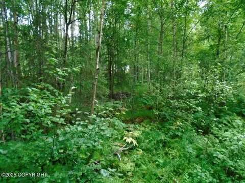 lot102 NW Loc Sault Ave, Anchorage, AK 99516
