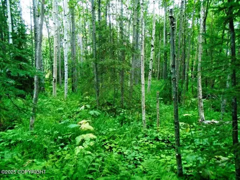 lot102 NW Loc Sault Ave, Anchorage, AK 99516