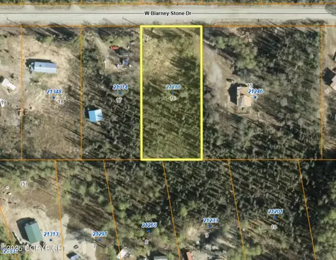 21288 W Blarney Stone Dr, Big Lake, AK 99652