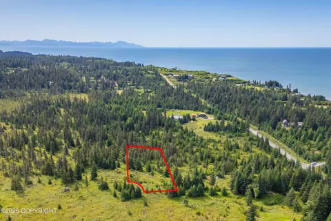 73901 Kirtley Ct, Anchor Point, AK 99556