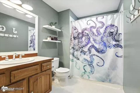 Bath - 20420 Williamsburg Dr, Eagle River, AK 99577 photo 2 of 6