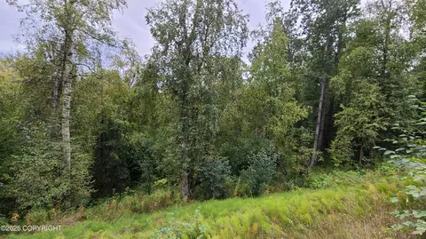 4248 W Little Rain Rd, Wasilla, AK 99623