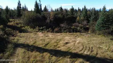 31511 Kalugin Pl, Nikolaevsk, AK 99556