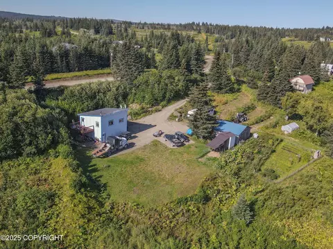 48950 Morrison Dr, Homer, AK 99603