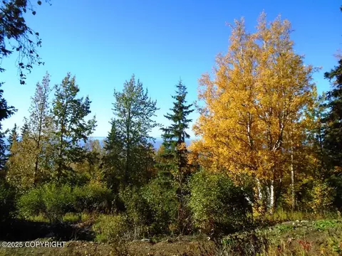 lot2 Greece Dr, Anchorage, AK 99516