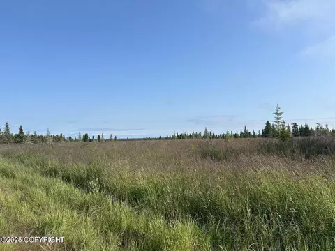 35826 Agriculture St, Nikiskinorth Kenai, AK 99611