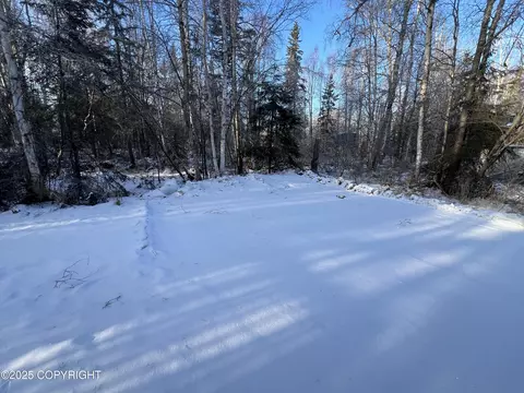 Exterior - 21040 Scenic Dr, Chugiak, AK 99567 photo 10 of 12