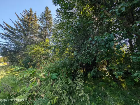 435 Soundview Ave, Homer, AK 99603