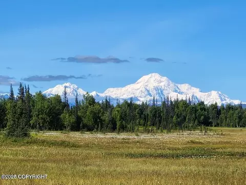 Tr B Asls 87-066, Trapper Creek, AK 99683